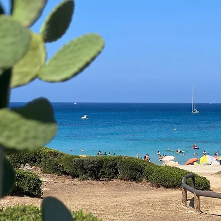 T4-80m2 Superbe Vue Sant Ambroggio * Lumio (Corsica)